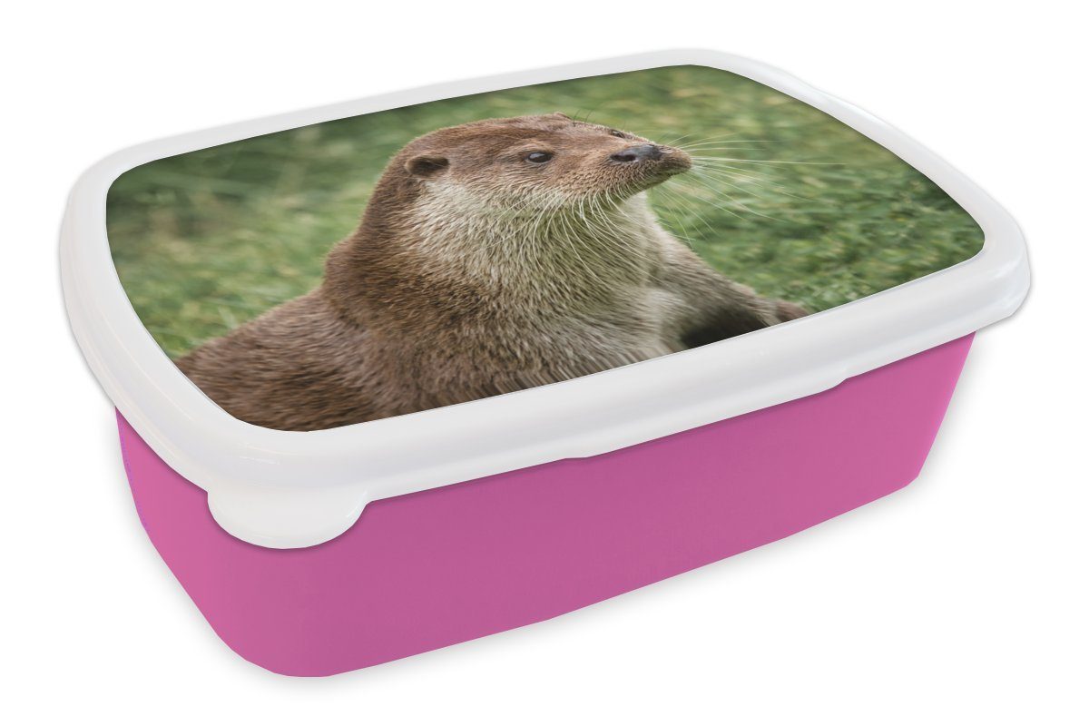 MuchoWow Lunchbox Otter im Gras, Kunststoff, (2-tlg), Brotbox für Erwachsene, Brotdose Kinder, Snackbox, Mädchen, Kunststoff rosa