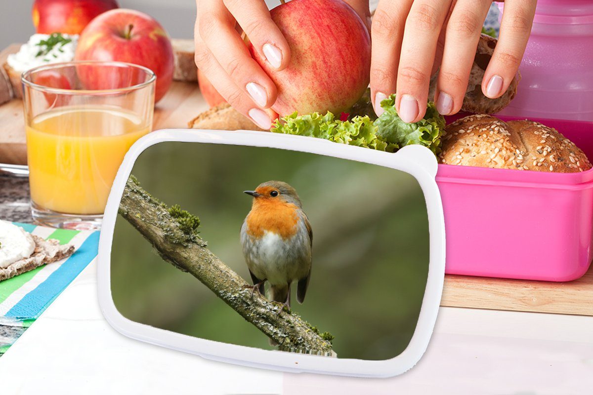 rosa Lunchbox (2-tlg), - Kunststoff Erwachsene, Rotkehlchen Brotdose Mädchen, Zweig Kunststoff, - - für MuchoWow Vogel Kinder, Brotbox Pflanzen, Snackbox,