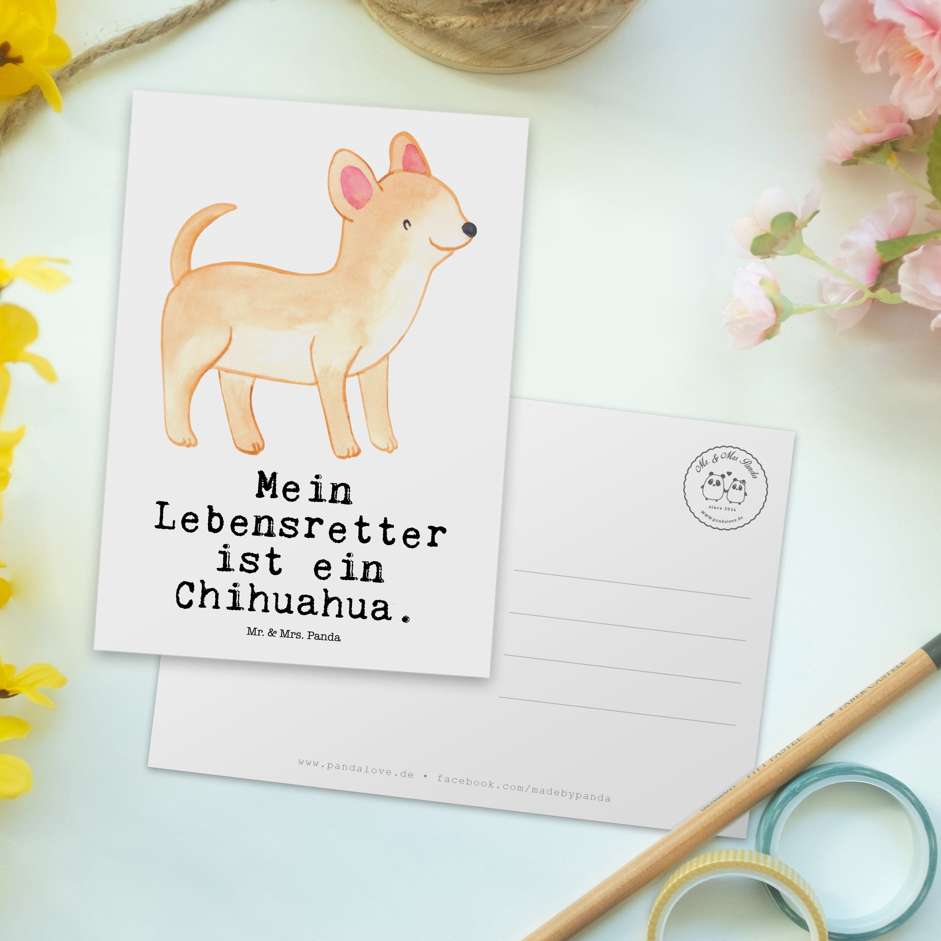 Postkarte - - Lebensretter Hundebesi Mrs. Chihuahua Panda Grußkarte, Geschenk, Mr. & Weiß Karte,