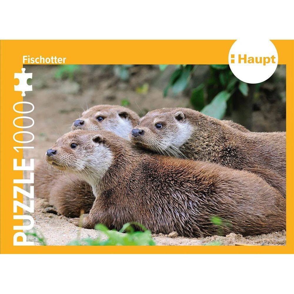 Haupt Puzzle Fischotter - Puzzle, 1000 Puzzleteile