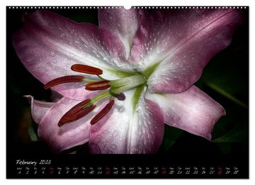 CALVENDO Wandkalender Floral Portraits Visual Music of Flowers (Premium-Calendar 2023 DIN A2 Landscape)