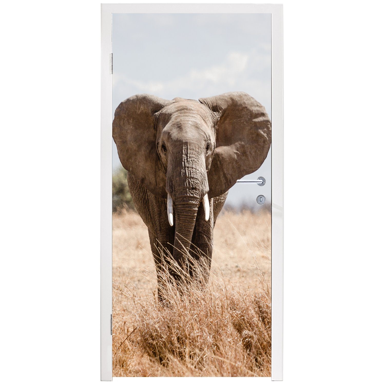 Türaufkleber, cm St), Tiere Elefant Porträt, - Fototapete MuchoWow (1 Tür, 75x205 - Matt, - Türtapete für bedruckt, Natur