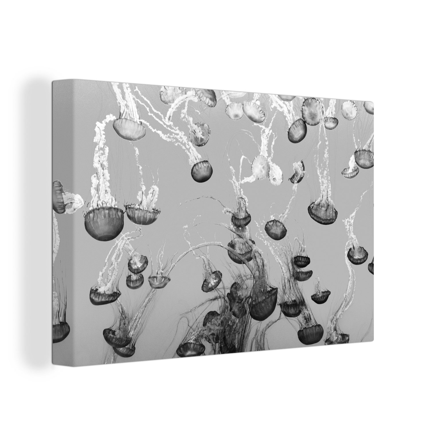 OneMillionCanvasses® Leinwandbild Meer - Aufhängefertig, Leinwandbilder, - Schwarz Weiß, Wandbild cm - Wanddeko, Qualle 30x20 St), (1