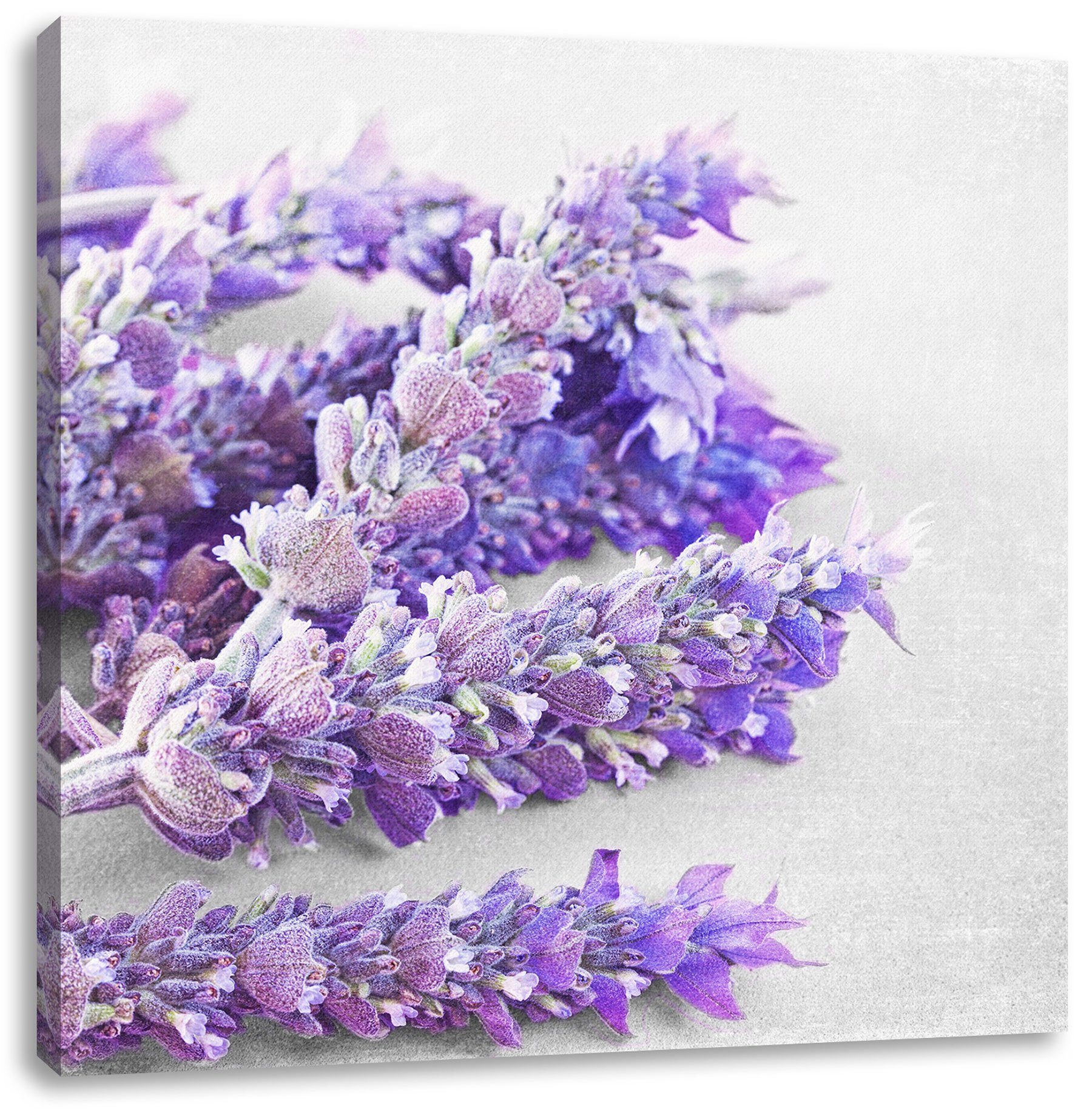 Pixxprint Leinwandbild getrockneter Lavendel, getrockneter Lavendel (1 St), Leinwandbild fertig bespannt, inkl. Zackenaufhänger