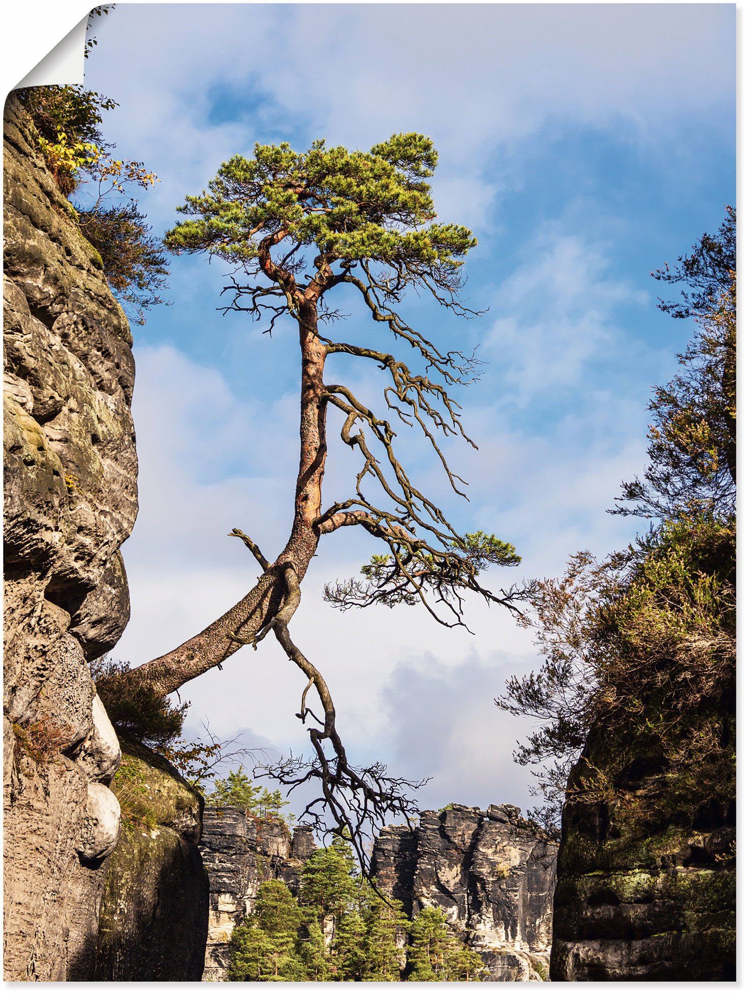 Artland Wandbild Felsen Bäume in der Sächsische Schweiz, Berge & Alpenbilder (1 St), als Alubild, Leinwandbild, Wandaufkleber oder Poster in versch. Größen blau