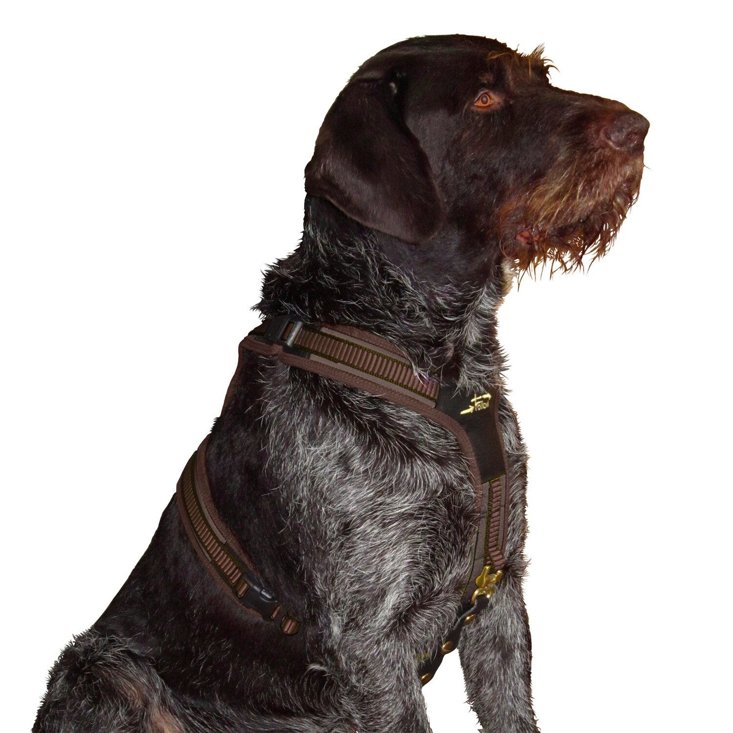 Niggeloh Hunde-Geschirr Hundeführgeschirr Follow 3 günstig online kaufen