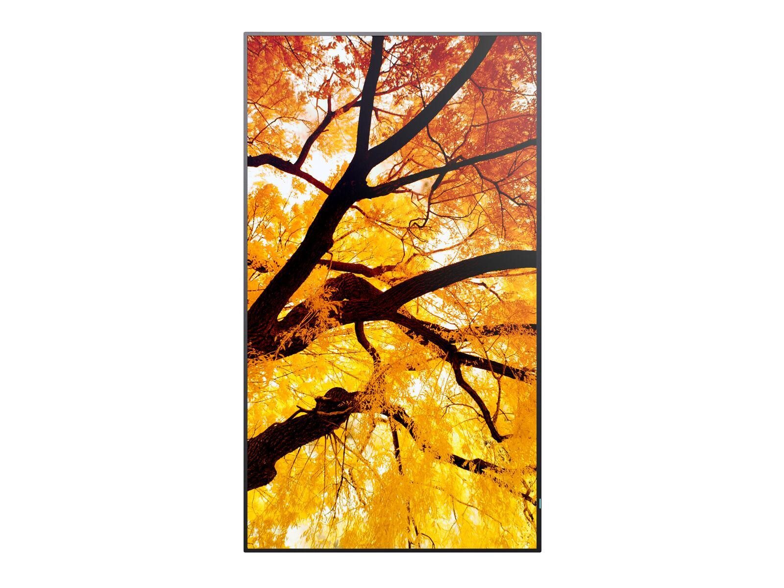 Sharp Sharp MultiSync® M862 LED-Monitor (3840 x 2160, 8 ms Reaktionszeit, 60 Hz, IPS Panel)