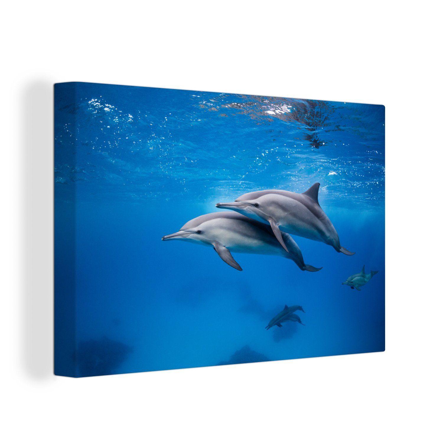 OneMillionCanvasses® Leinwandbild Delfin - Meer - Ägypten, Fotodruck (1 St), Leinwand Bilder Klein, Wand Dekoration Aesthetic 30x20 cm