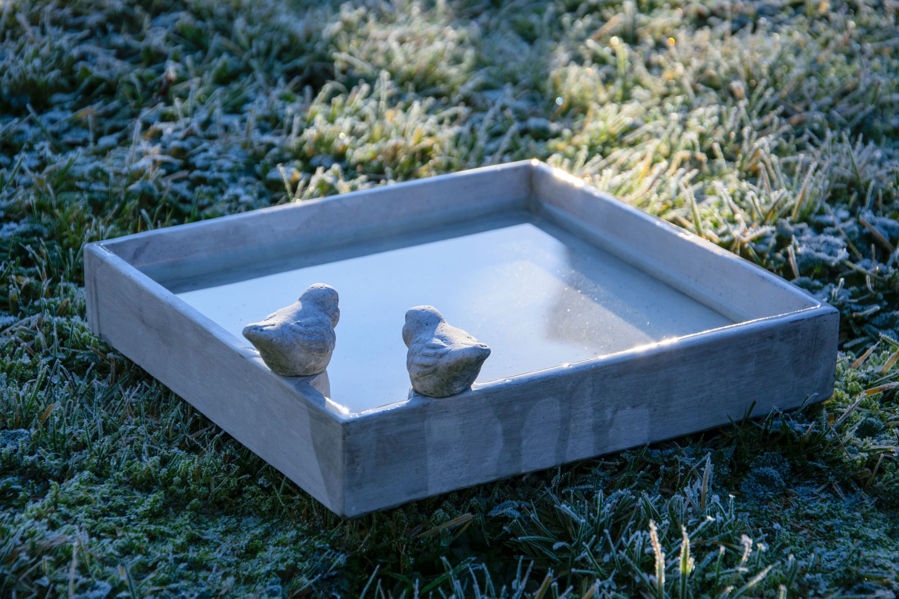 dobar Vogeltränke Vogelbad und Insektentränke günstig online kaufen