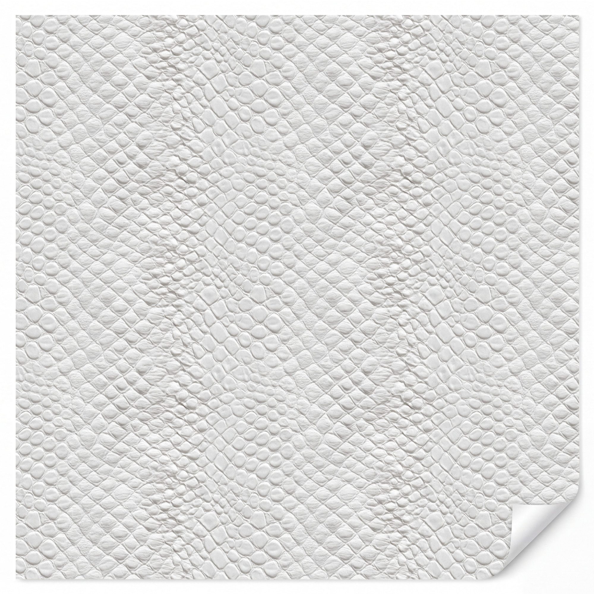 OnlyWow Fototapete Schlange - Muster - Weiß, Matt, bedruckt, Schlafzimmer, Modern, Wanddekoration, Vliestapete 200x220cm