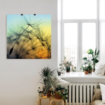 Artland Wandbild Goldener Sonnenuntergang und Pusteblumen, Blumen (1 St), als Alubild, Outdoorbild, Leinwandbild, Poster, Wandaufkleber