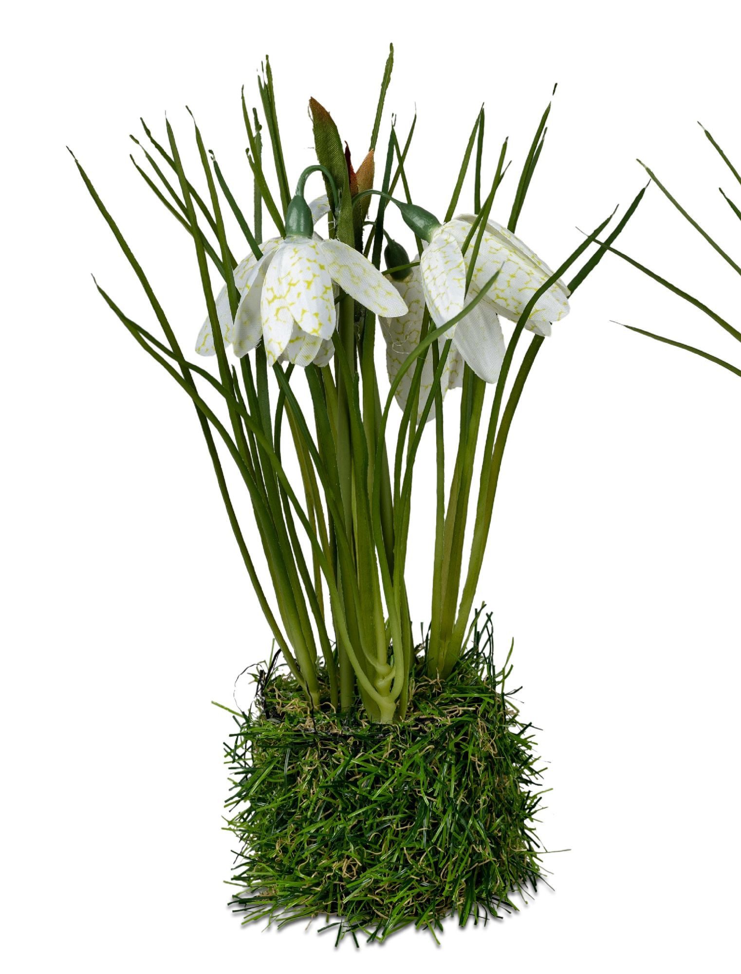 Kunstblume Frühlingszeit, formano, Höhe 23 cm, Höhe: 23cm, Farbe: Weiß, Motiv: Blumen