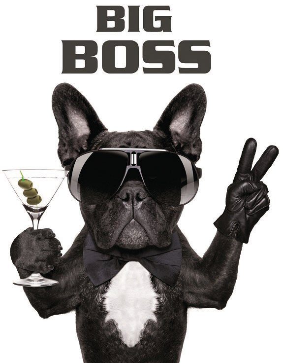 Bönninghoff Leinwandbild Wandbild HUND BIG BOSS 46x61 cm – Leinwandbild Keilrahmen Deko modern, Hund, Hundebilder, Sprüche & Texte (1 St), auf Keilrahmen gespannt