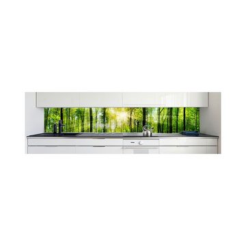 DRUCK-EXPERT Küchenrückwand Küchenrückwand Waldlichtung Hart-PVC 0,4 mm selbstklebend