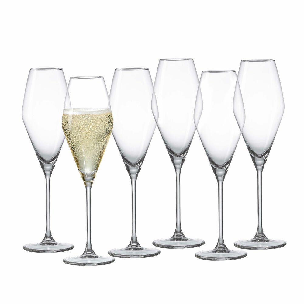 Sektglas Sektkelch Salsa 6er Set