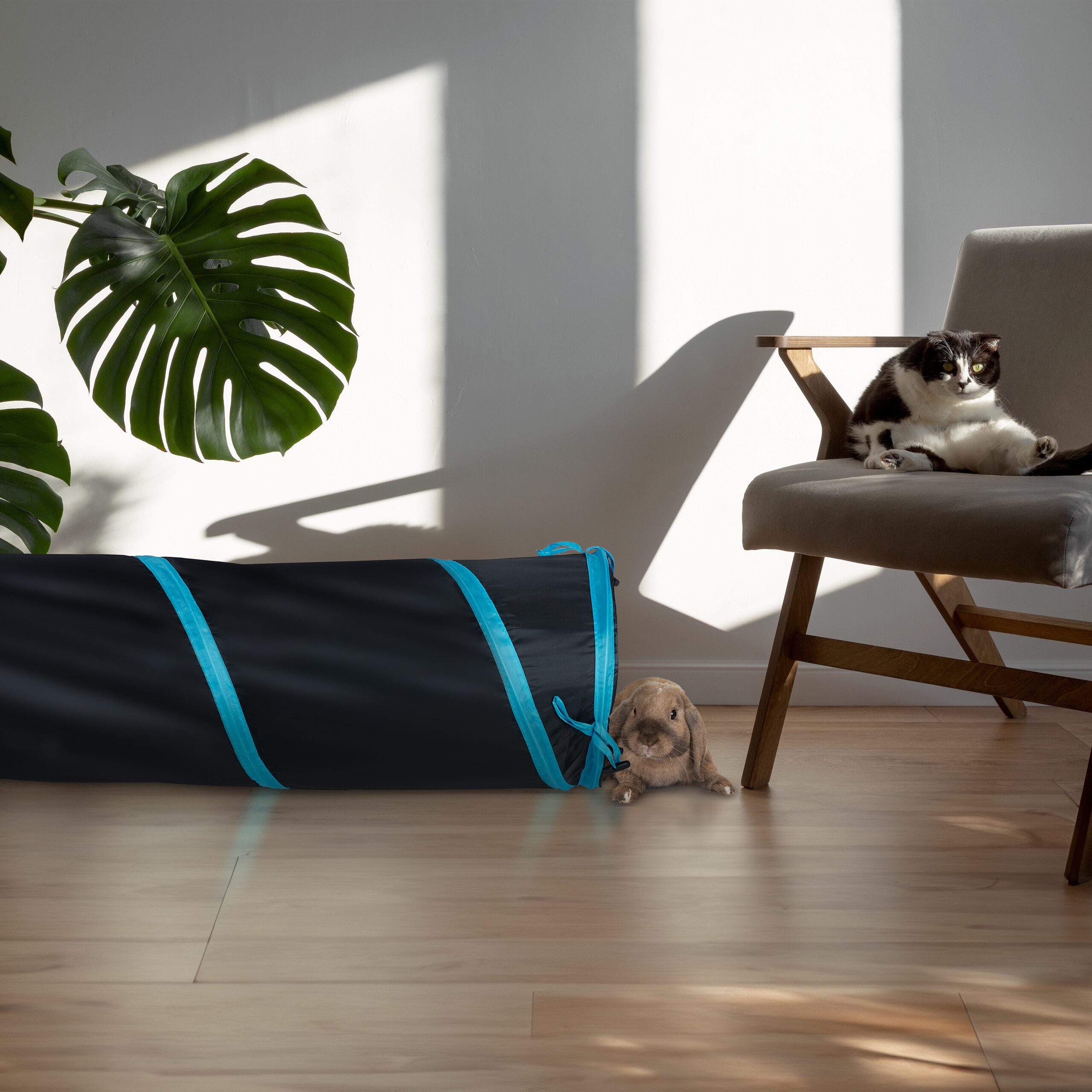 Thumbnail - relaxdays Kleintiertunnel Faltbarer Katzentunnel mit Spielzeug, Polyester, schwarz