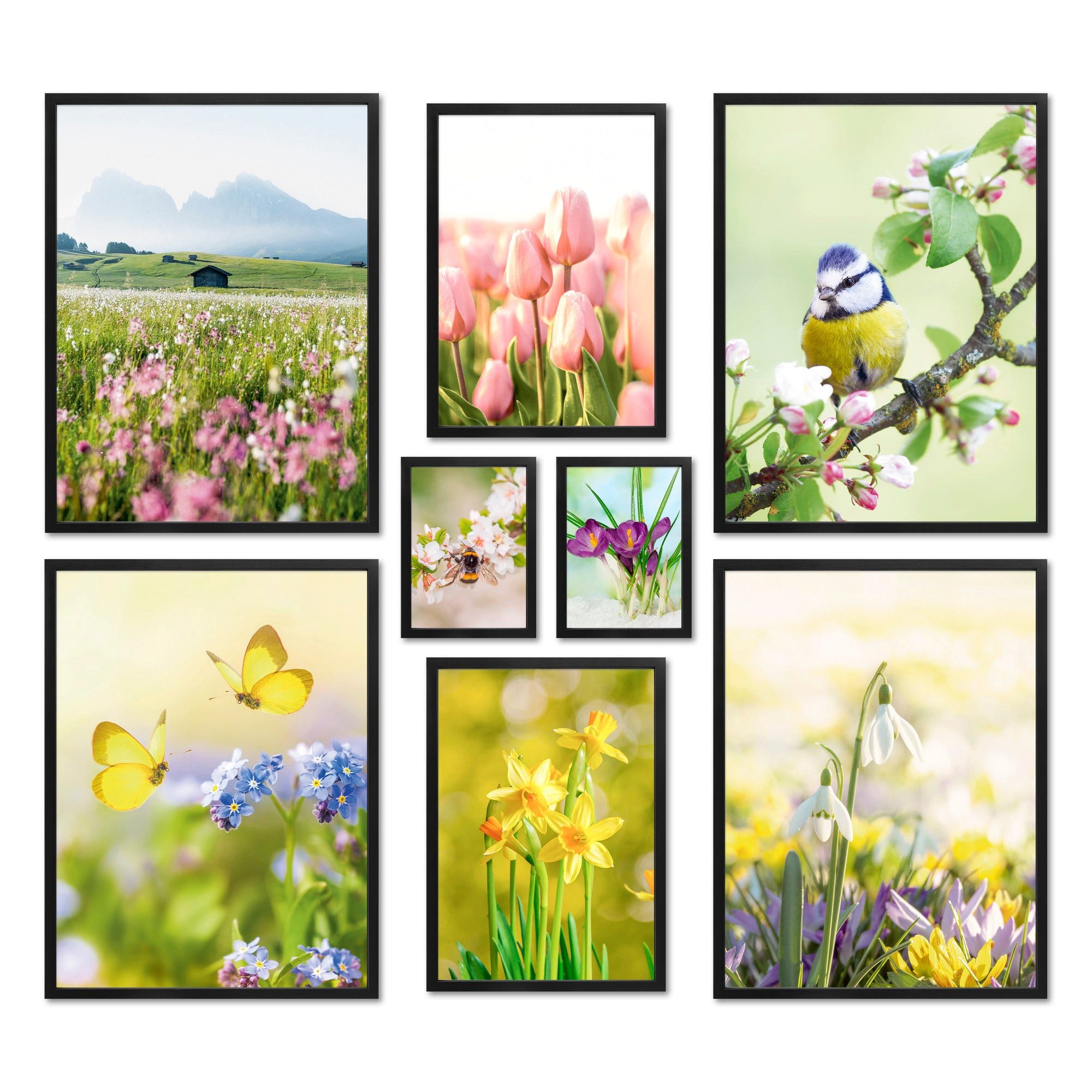 Bilder-Collage Poster Set - Frühlingserwachen - Deko Wandbilder frühling, tiere, natu