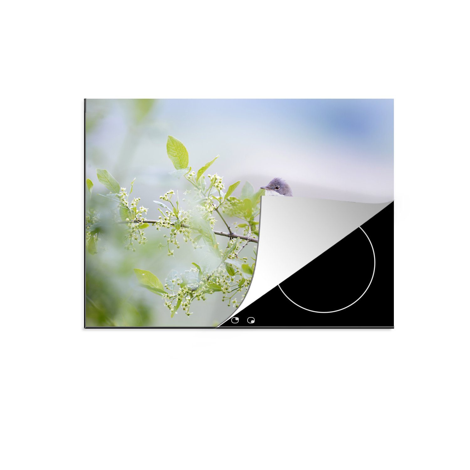 MuchoWow Herdblende-/Abdeckplatte Gartengrasmücke auf cm, Ceranfeldabdeckung die einer Induktionskochfeld Vinyl, 71x52 Grünpflanze, für tlg), Schutz (1 küche