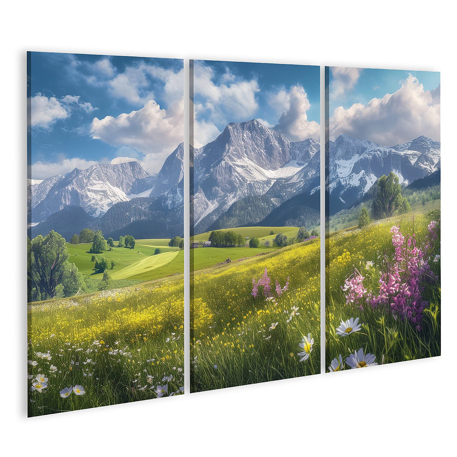islandburner Leinwandbild, Alpenwiese im Frühling mit Bergpanorama
