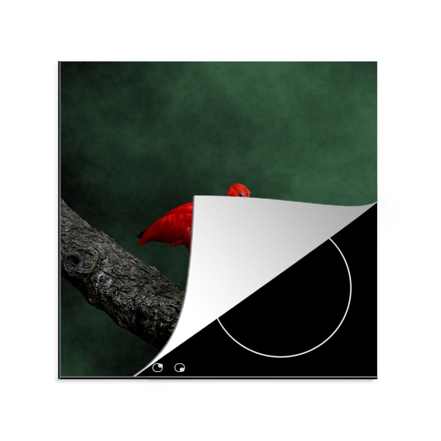 MuchoWow Herdblende-/Abdeckplatte Roter Ibis auf einem Baumzweig, Vinyl, (1 tlg), 78x78 cm, Ceranfeldabdeckung, Arbeitsplatte für küche