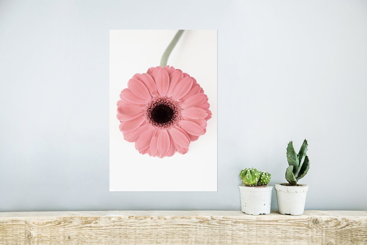 Blume Rosa für - Natur Poster, - Wandposter Ohne Pflanze, MuchoWow St), Wandbild, Wohnzimmer, - Poster Rahmen (1