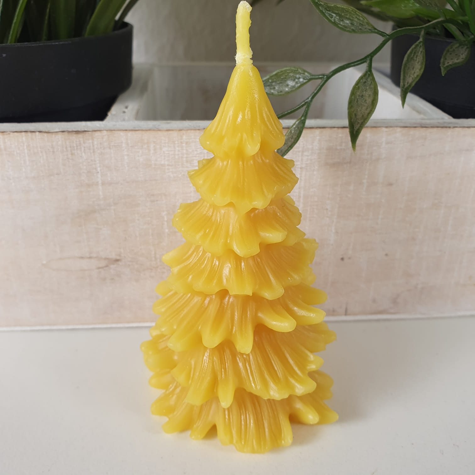 Aspinaworld Formkerze Tannenbaum Kerze 10 cm – Kerze aus Bienenwachs