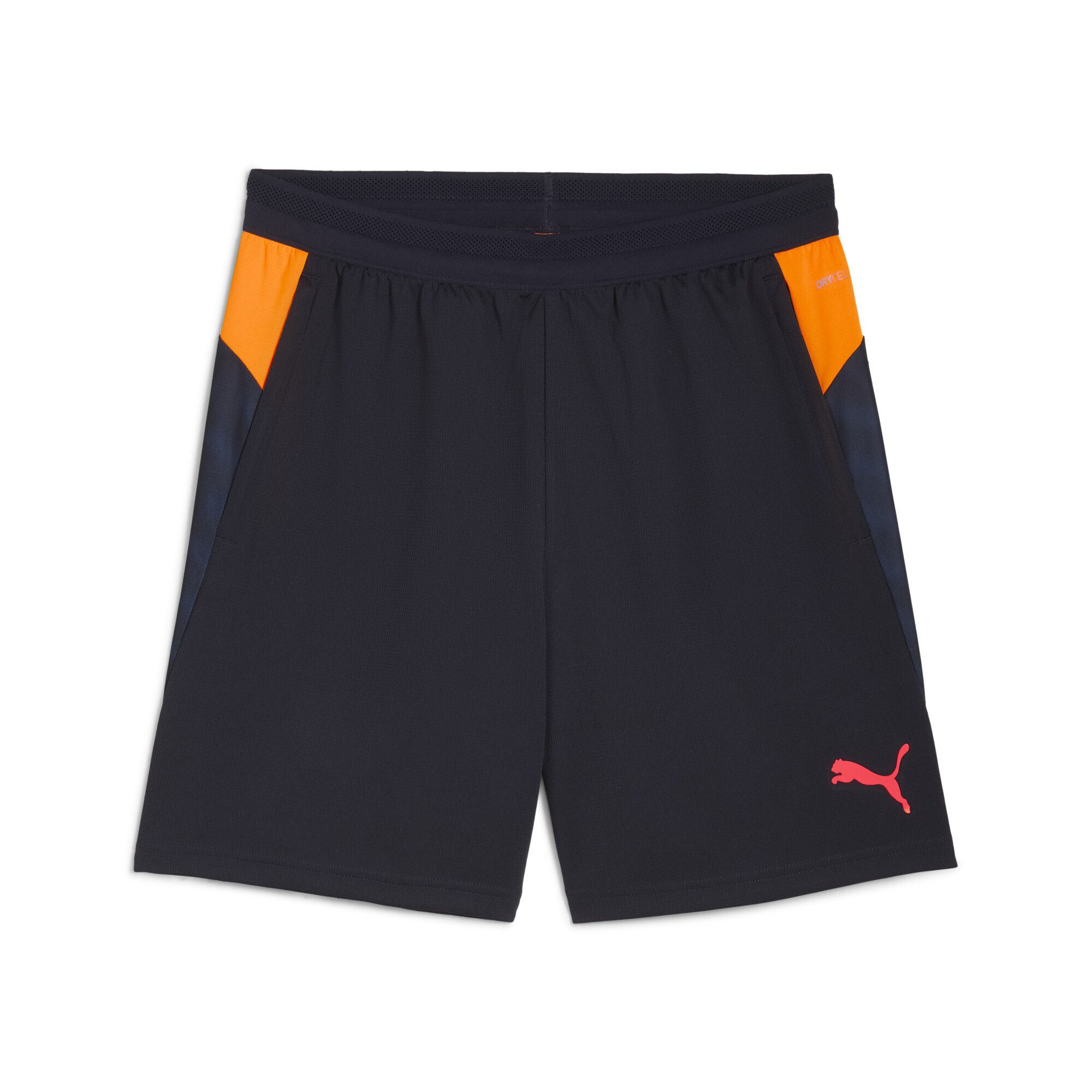 PUMA Sporthose individualCUP Fußball Trainingsshorts Herren günstig online kaufen