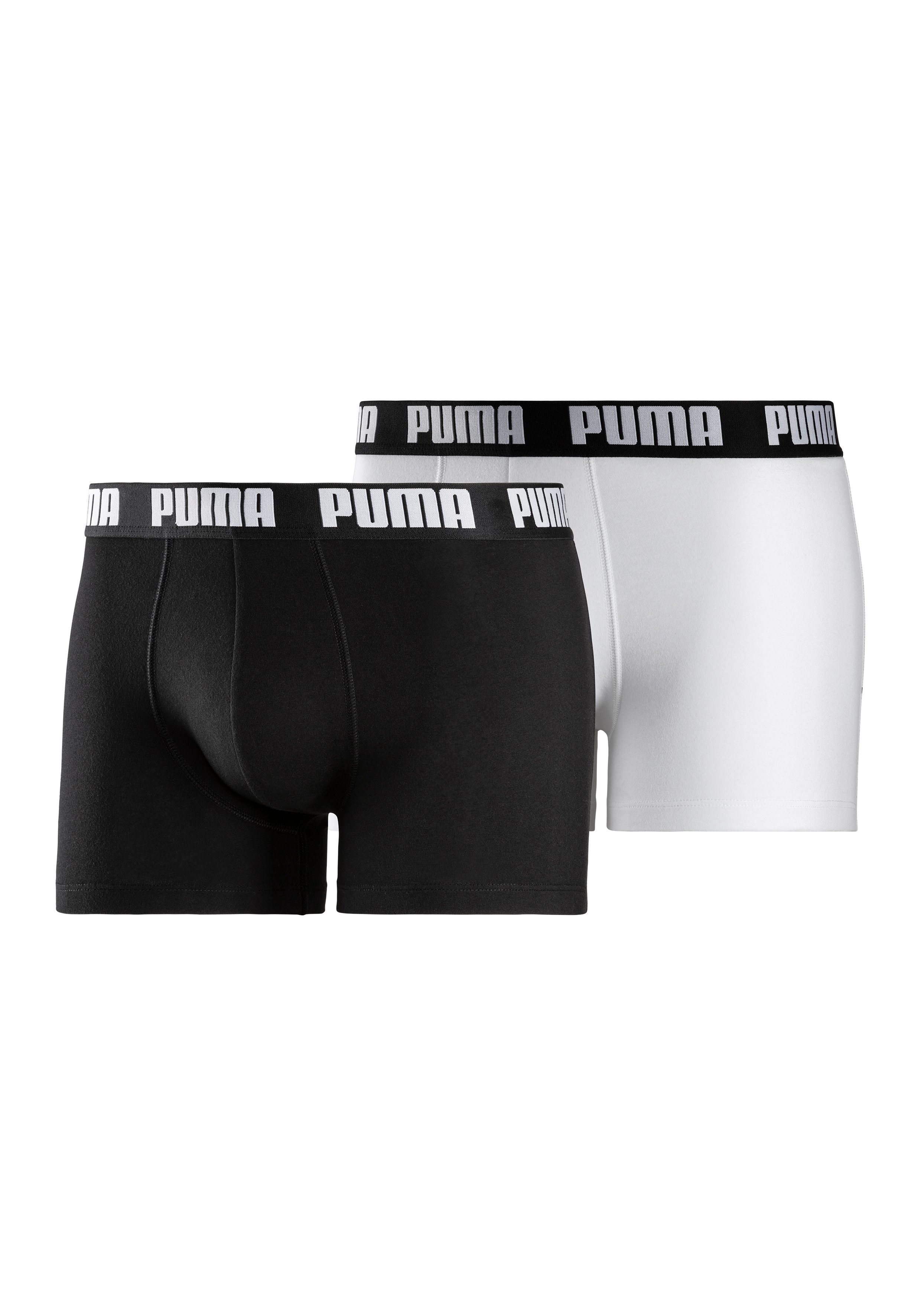 Boxer