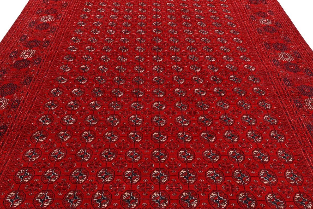 246x358 Trading, Mauri Nain 6 mm Orientteppich, Handgeknüpfter Orientteppich Afghan Höhe: rechteckig,