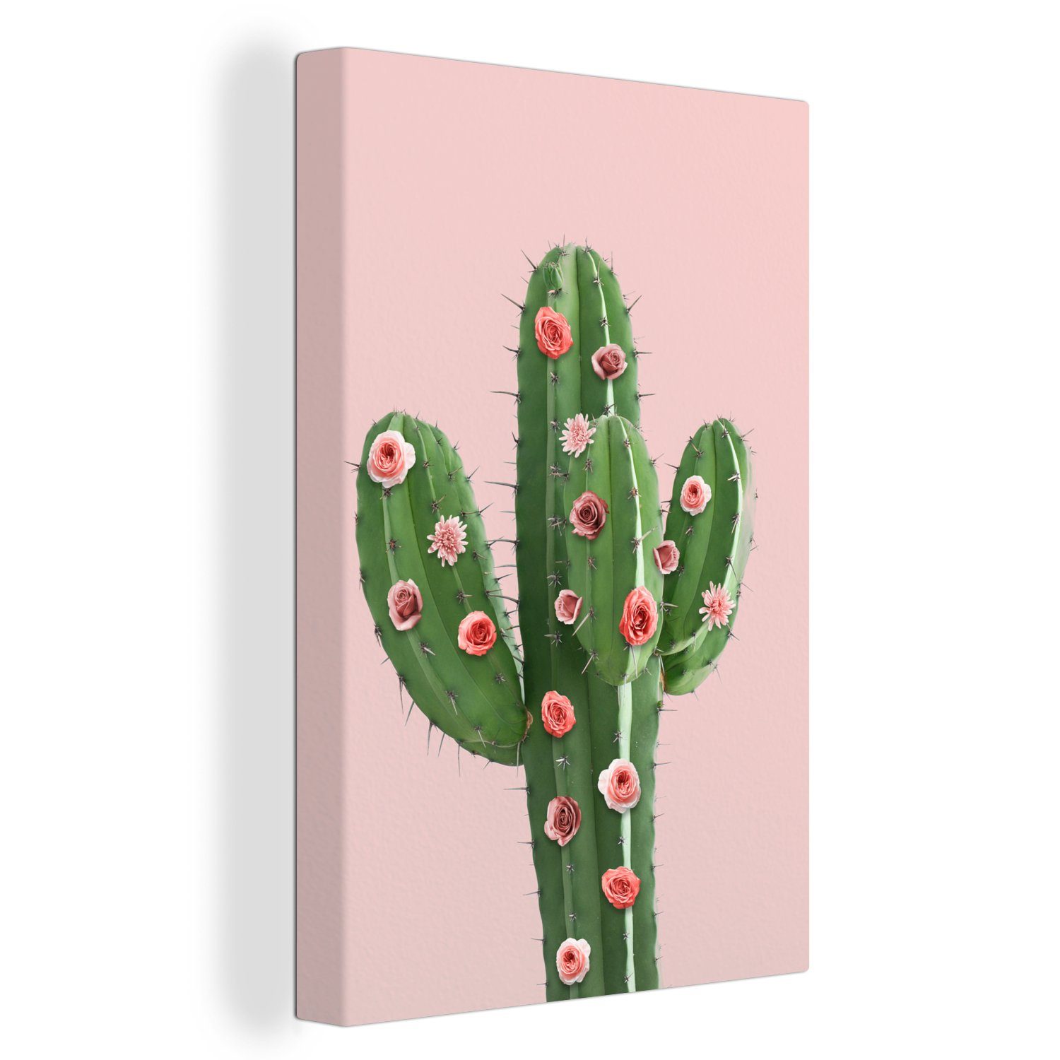 OneMillionCanvasses® Leinwandbild Kaktus - Stilleben - günstig online kaufen