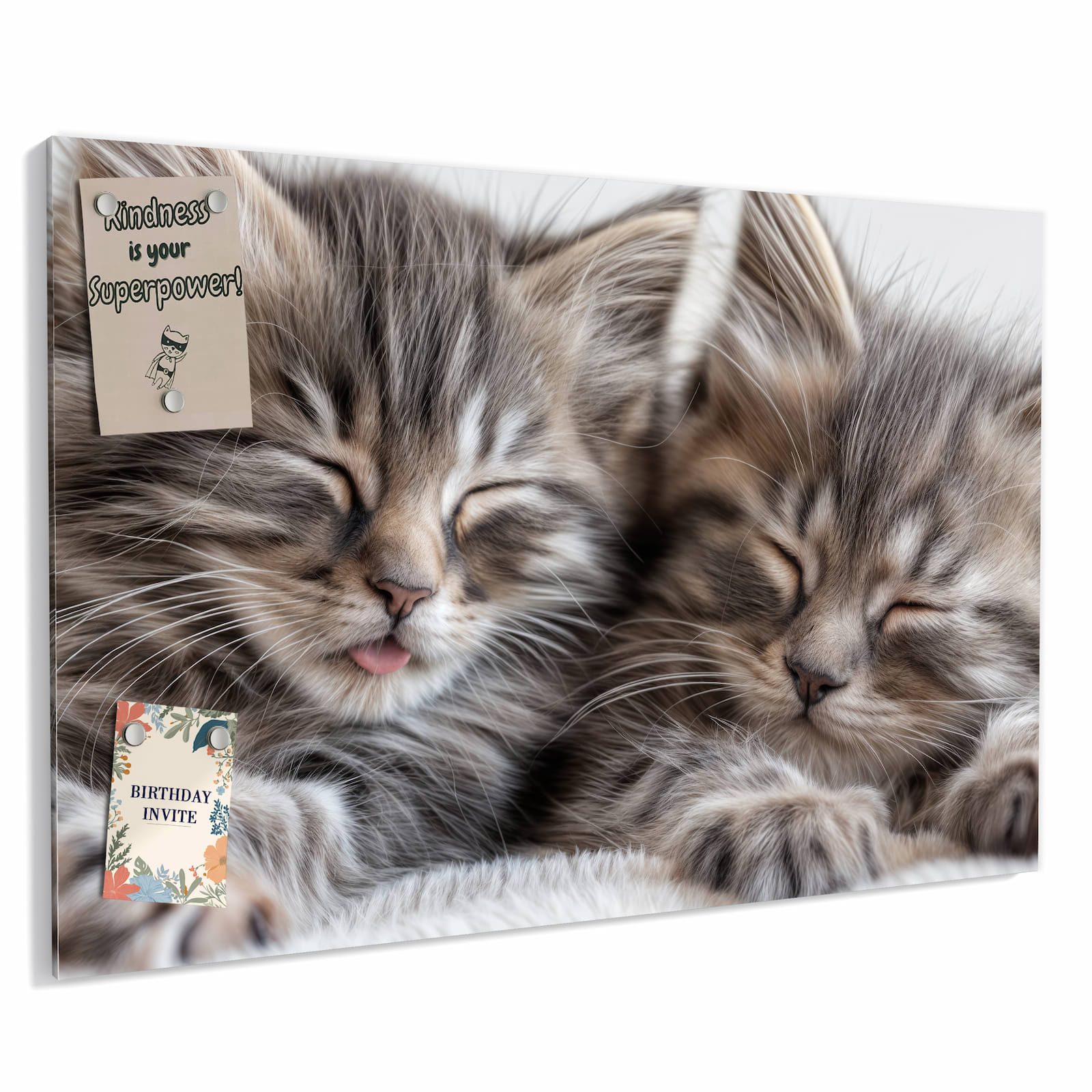 Primedeco Memoboard Metall Schlafende Kätzchen – beschreibbar & magnetisch, (Inklusive Stift, Magnete und Montagematerial, 1-tlg., 9 verschiedene Größen), Magnetisch und Beschreibbar