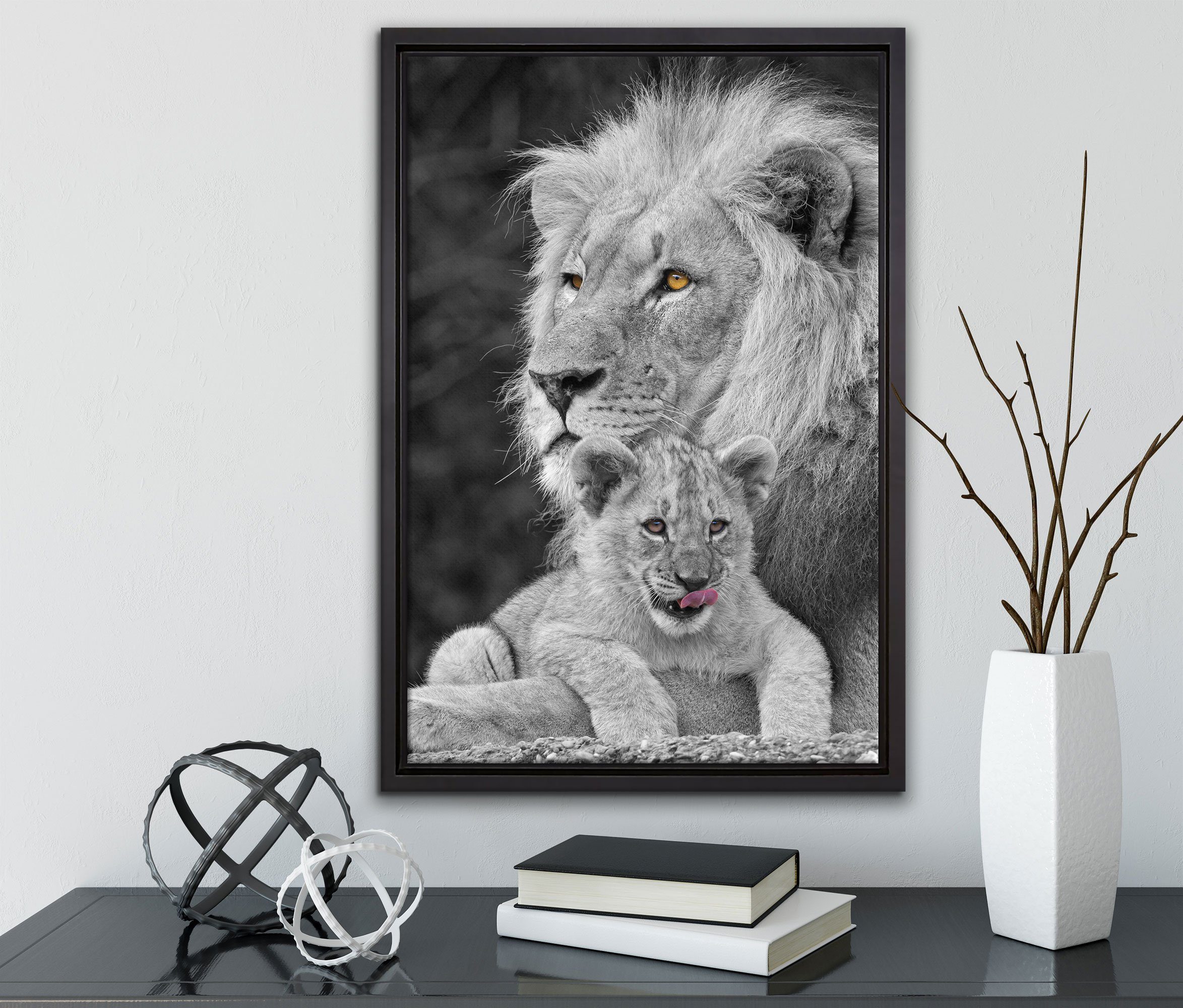 Pixxprint Leinwandbild Löwe mit inkl. kuschelt fertig bespannt, in Schattenfugen-Bilderrahmen St), (1 Leinwandbild Jungtier, einem gefasst, Wanddekoration Zackenaufhänger