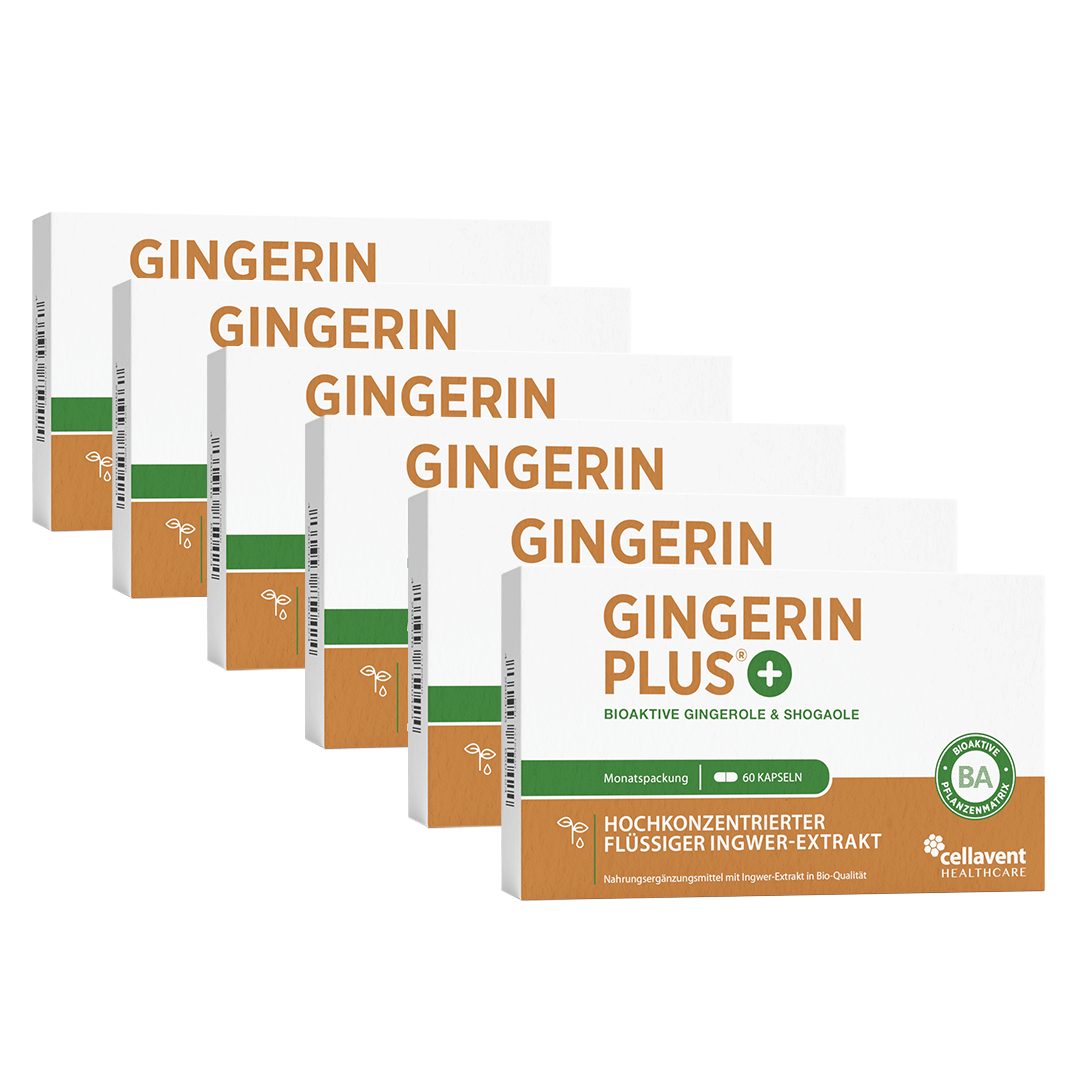 Cellavent Healthcare BIO Ingwer Kapseln - 22.000 mg Ingwerpulver - Gingerin PLUS Kapseln