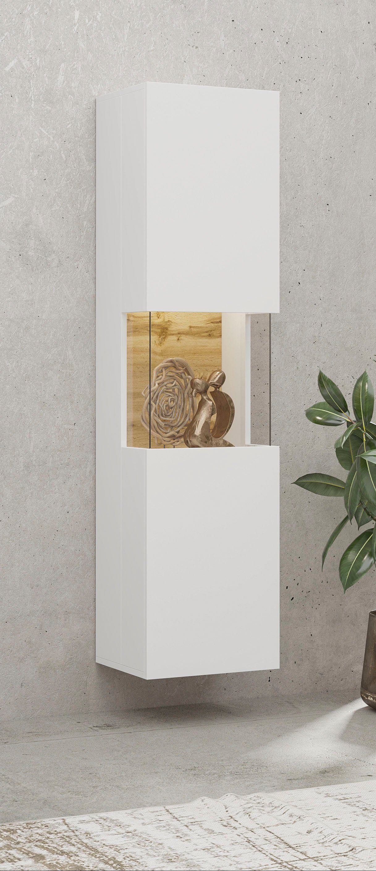 INOSIGN Vitrine "Ava, Breite 36 cm, hängend und stehend montierbar" moderne günstig online kaufen