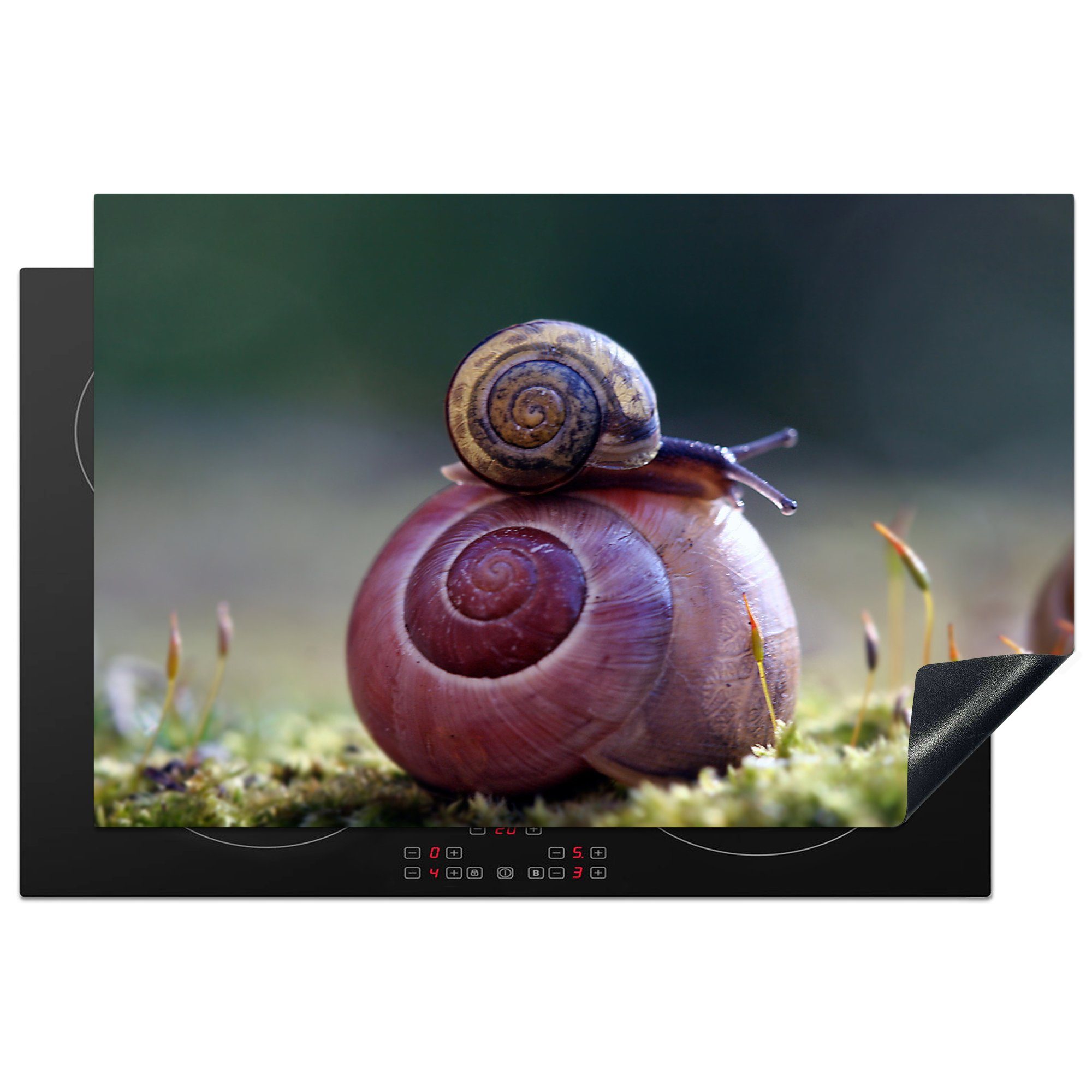 MuchoWow Herdblende-/Abdeckplatte Schnecken - Vinyl, für tlg), Frühling, cm, die (1 - Schutz Gras 81x52 küche, Ceranfeldabdeckung Induktionskochfeld