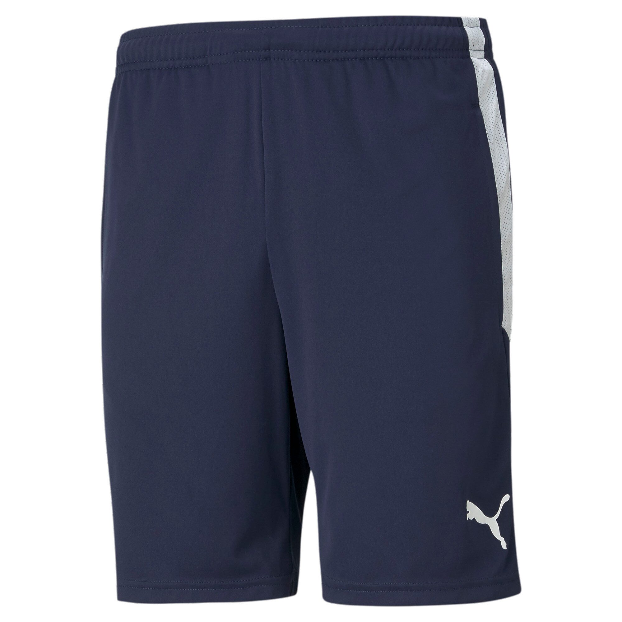 PUMA Trainingsshorts TEAMLIGA TRAINING SHORTS