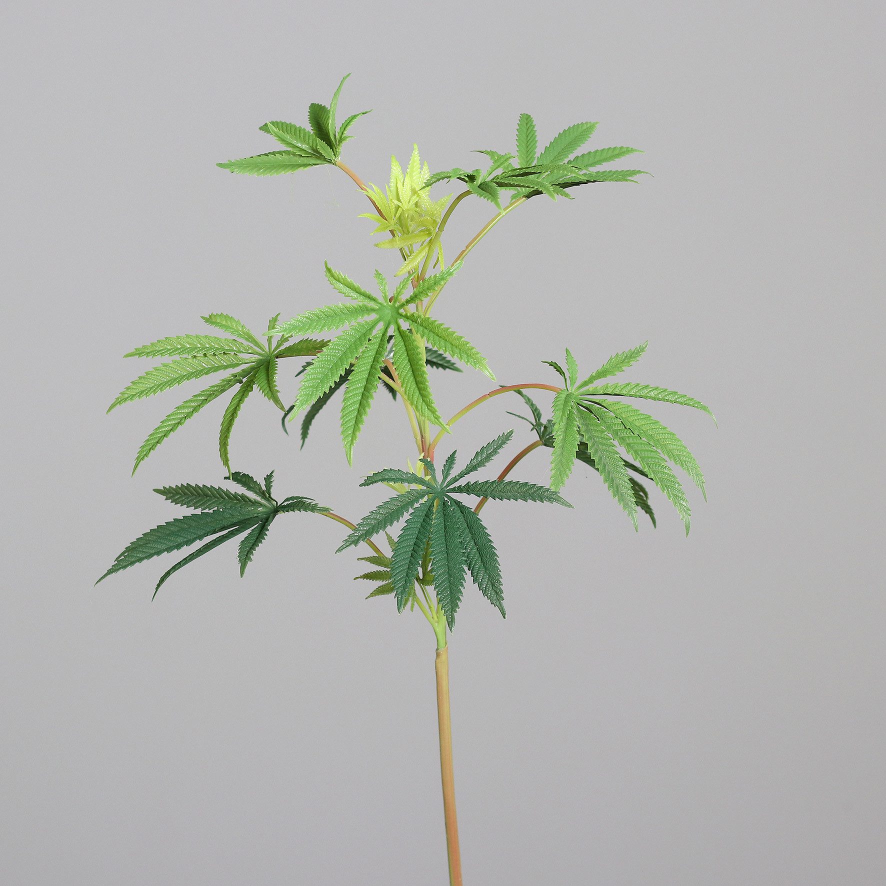 Kunstzweig Hanfzweig / Cannabiszweig 85cm DP günstig online kaufen