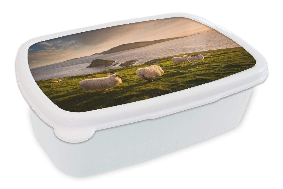 MuchoWow Lunchbox für Mädchen Brotbox und (2-tlg), der an für Jungs Kinder Küste, weiß Kunststoff, Brotdose, Erwachsene, und irischen Schafe