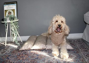 Belly´s Shop Hundematratze Hundebett für kleine, mittlere und Grosse Hunde Bezug abnehmbar und waschbar