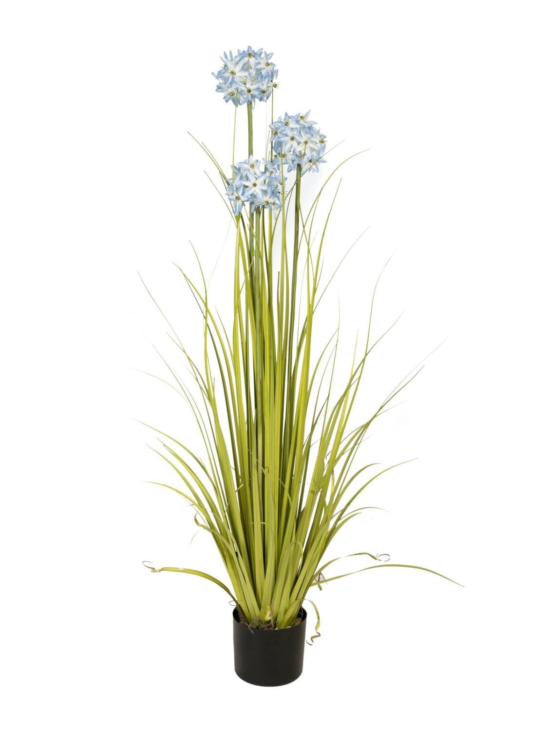 Kunstgras Allium Kunstblume ASIMDA, blau, 120cm, artplants, Höhe 120.0 cm