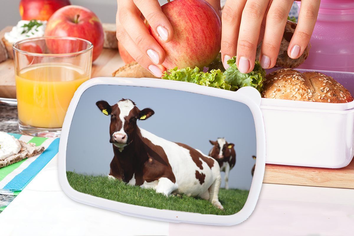 für Kühe Brotdose, - Kinder Kunststoff, für Jungs Friesland, MuchoWow Erwachsene, Brotbox Mädchen (2-tlg), Lunchbox und und weiß Gras -