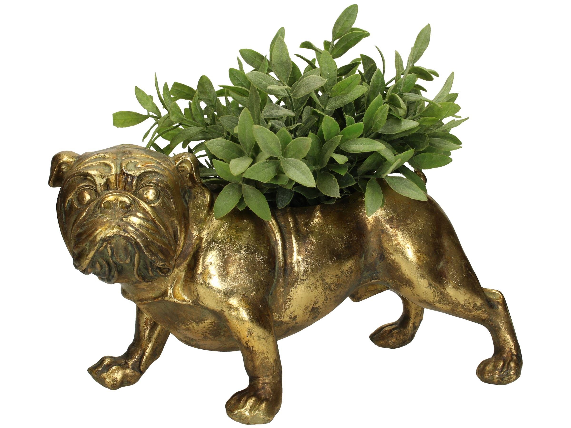 Engelnburg Blumentopf Blumentopf Übertopf Set) Set, Gold Hund 20,3x17x36,8 1er Blumengefäß Polyresin (kein