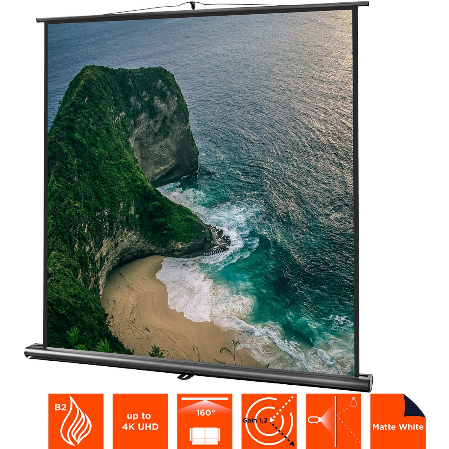 Celexon Professional Pull-Up-Leinwand (schwarze Rückseite)