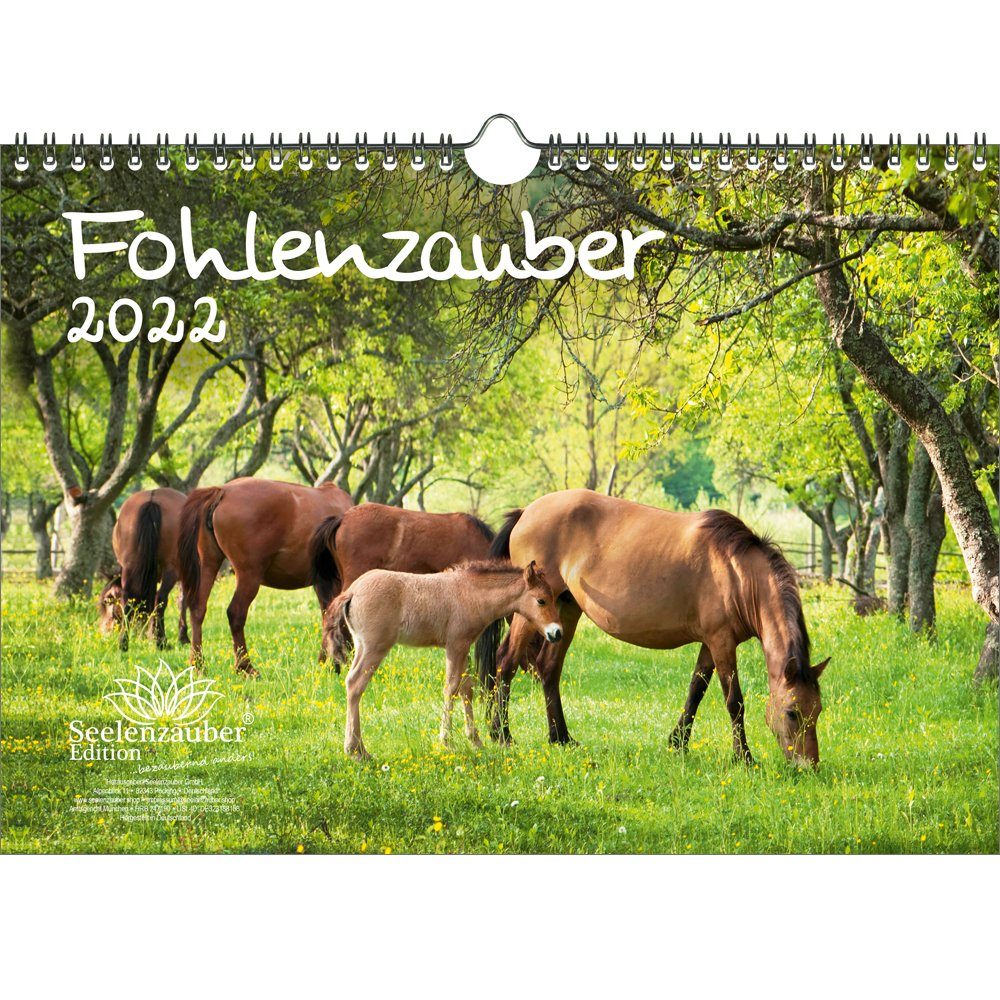 Seelenzauber Ponyzauber DIN A4 Kalender für 2022 Pony  und Fohlen 