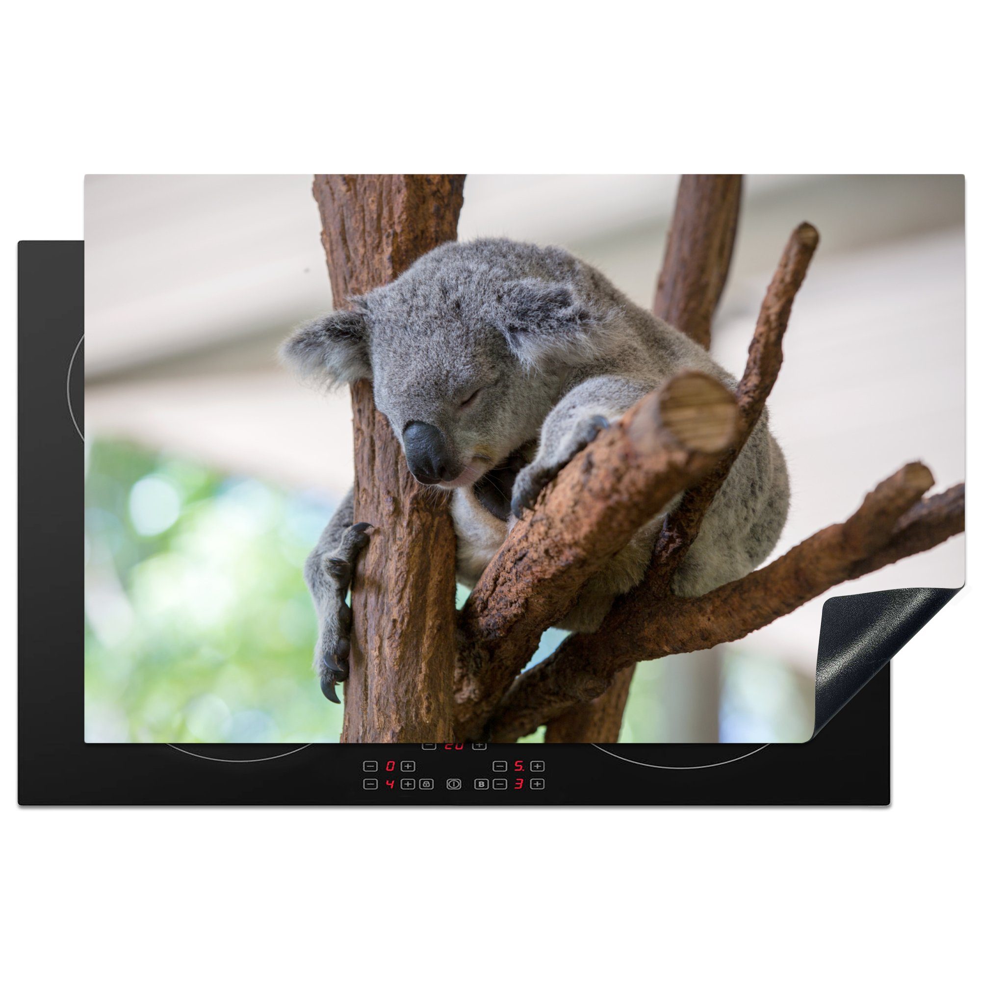 MuchoWow Herdblende-/Abdeckplatte Koala - Zweig - Grau, Vinyl, (1 tlg), 81x52 cm, Induktionskochfeld Schutz für die küche, Ceranfeldabdeckung
