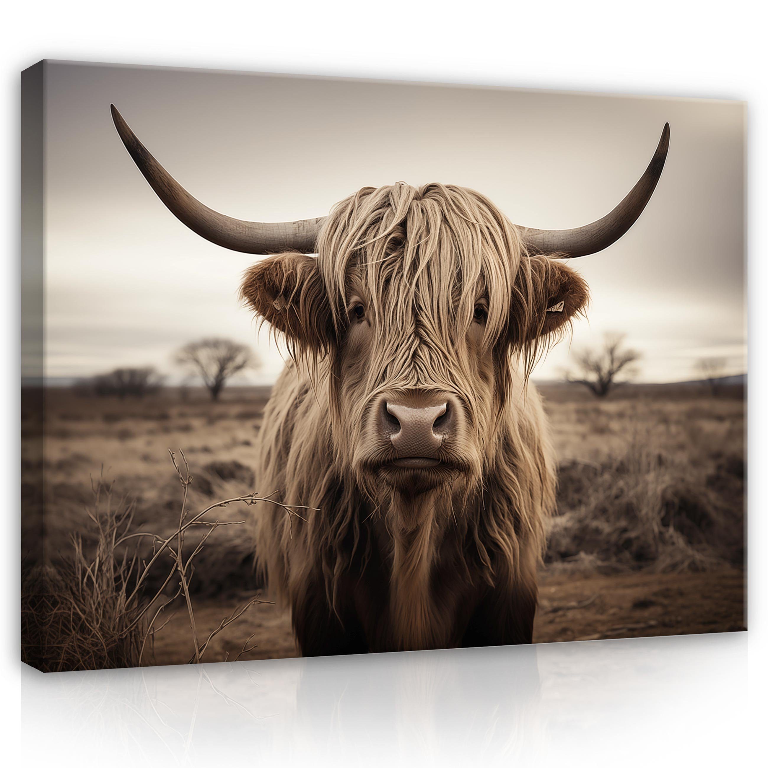 Wallarena Leinwandbild Kuh Schottisches Hochlandrind Cow Wandbilder Wand De günstig online kaufen