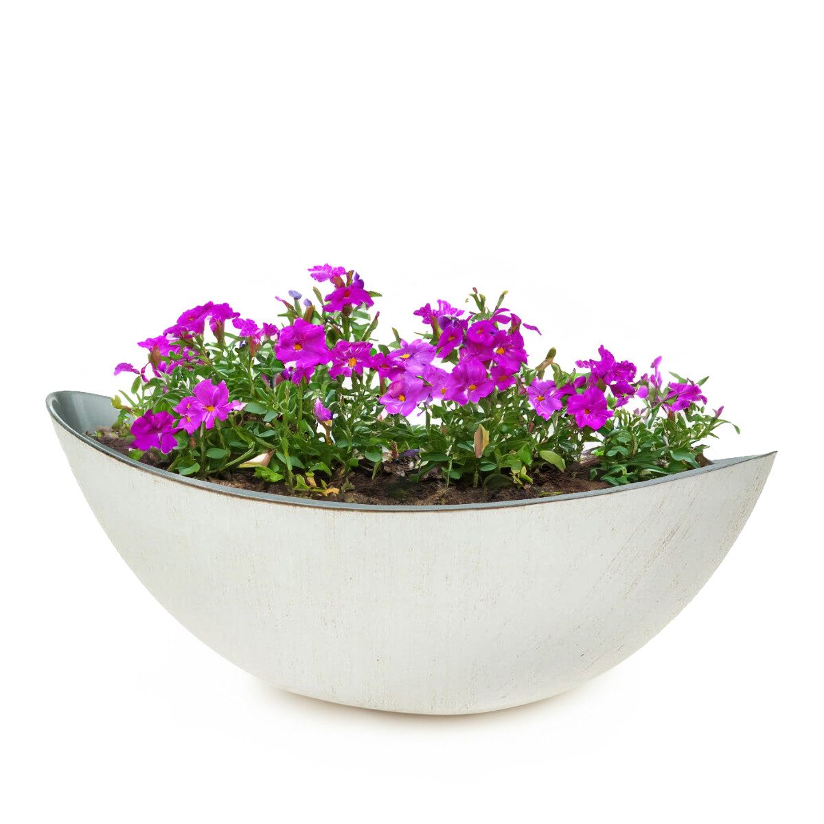 matches21 HOME & HOBBY Blumentopf Große Pflanzschale oval 34 cm für drausse günstig online kaufen