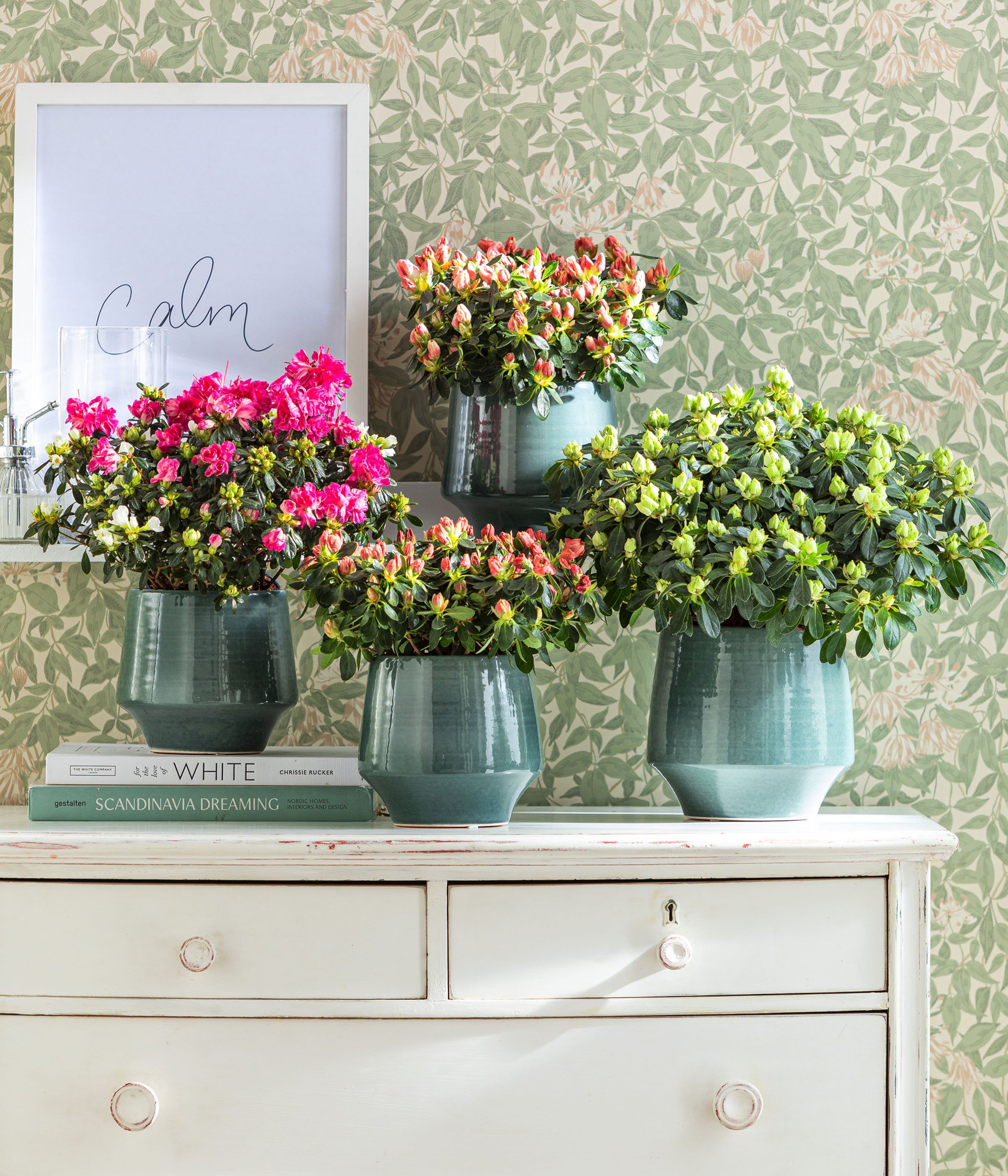 Dehner Übertopf Elsa, türkis, verschiedene Größen, hochwertige, glasierte Keramik, elegante Form