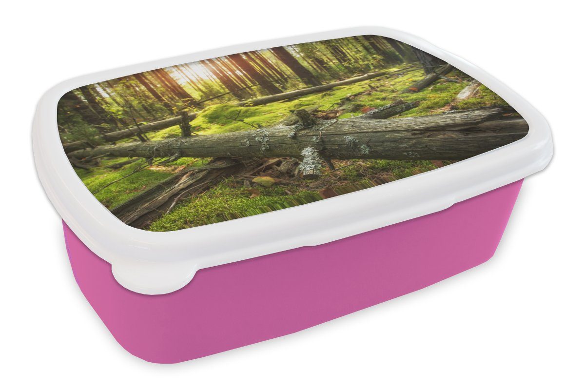 MuchoWow Lunchbox Baum - Wald - Moos, Kunststoff, (2-tlg), Brotbox für Erwachsene, Brotdose Kinder, Snackbox, Mädchen, Kunststoff rosa