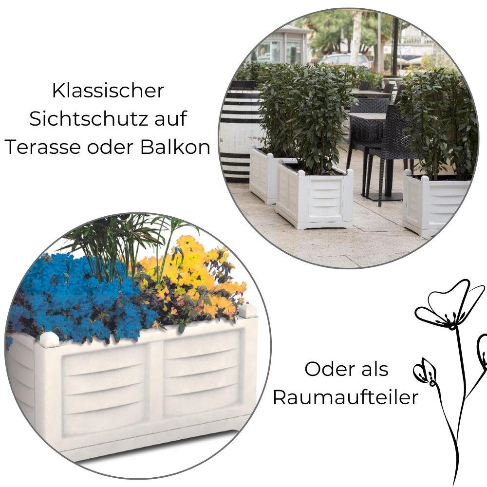 Terrasse weiß Groß Pflanzkübel Raumteiler Blumenkübel Pflanzkübel GarPet Sichtschutz